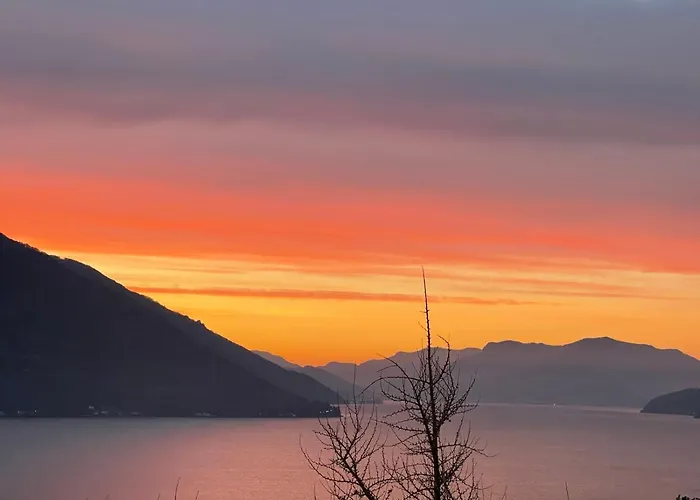 Apartament Swiss Blue Residence. Paradise